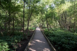 Reed Creek Park in Columbia County   Martinez GA 0110